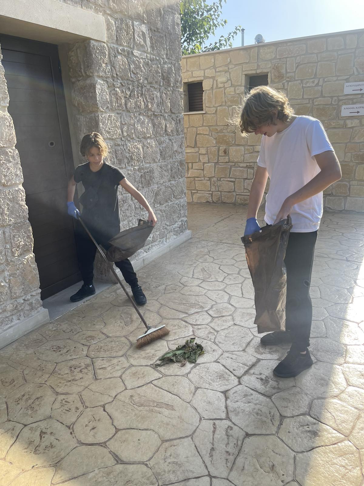 556115815 122210750096355744 872200794832287807 N