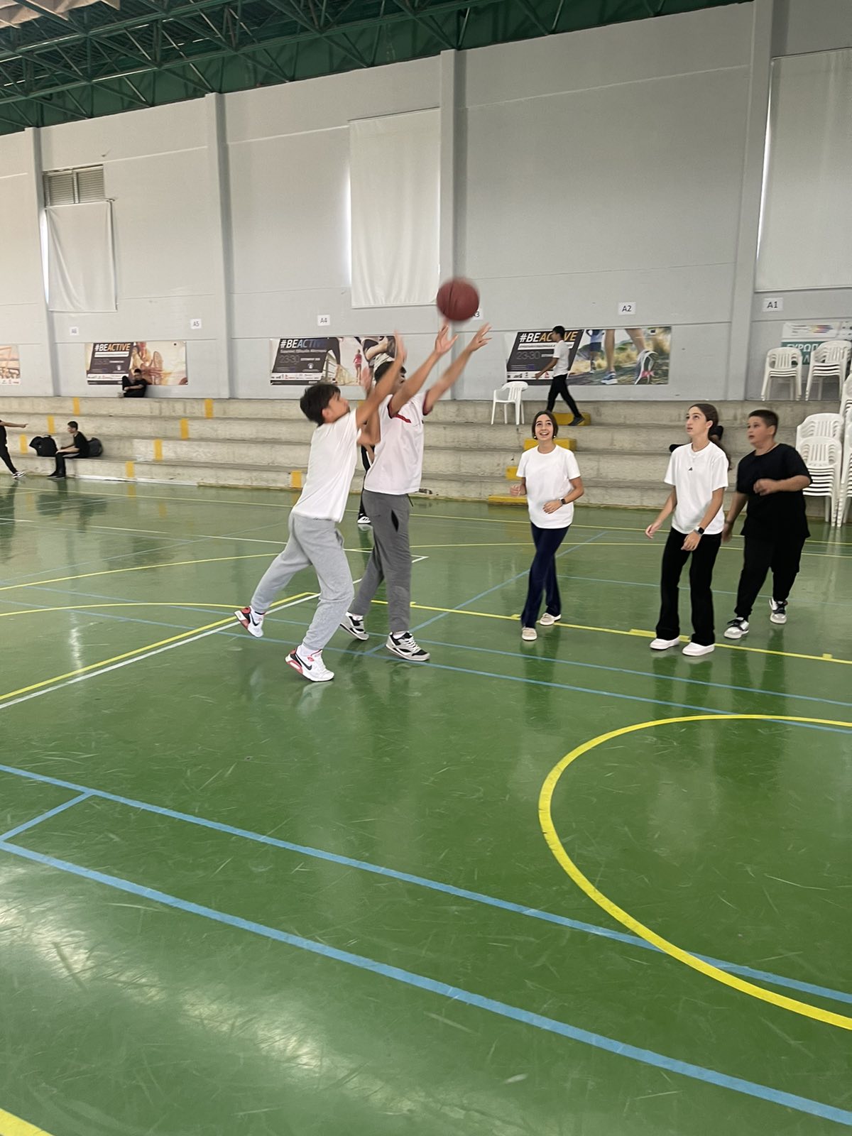 557275086 122210749664355744 1498486710984457945 N