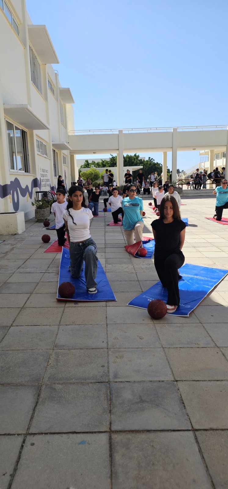 558114036 122210749778355744 7073291607557543419 N