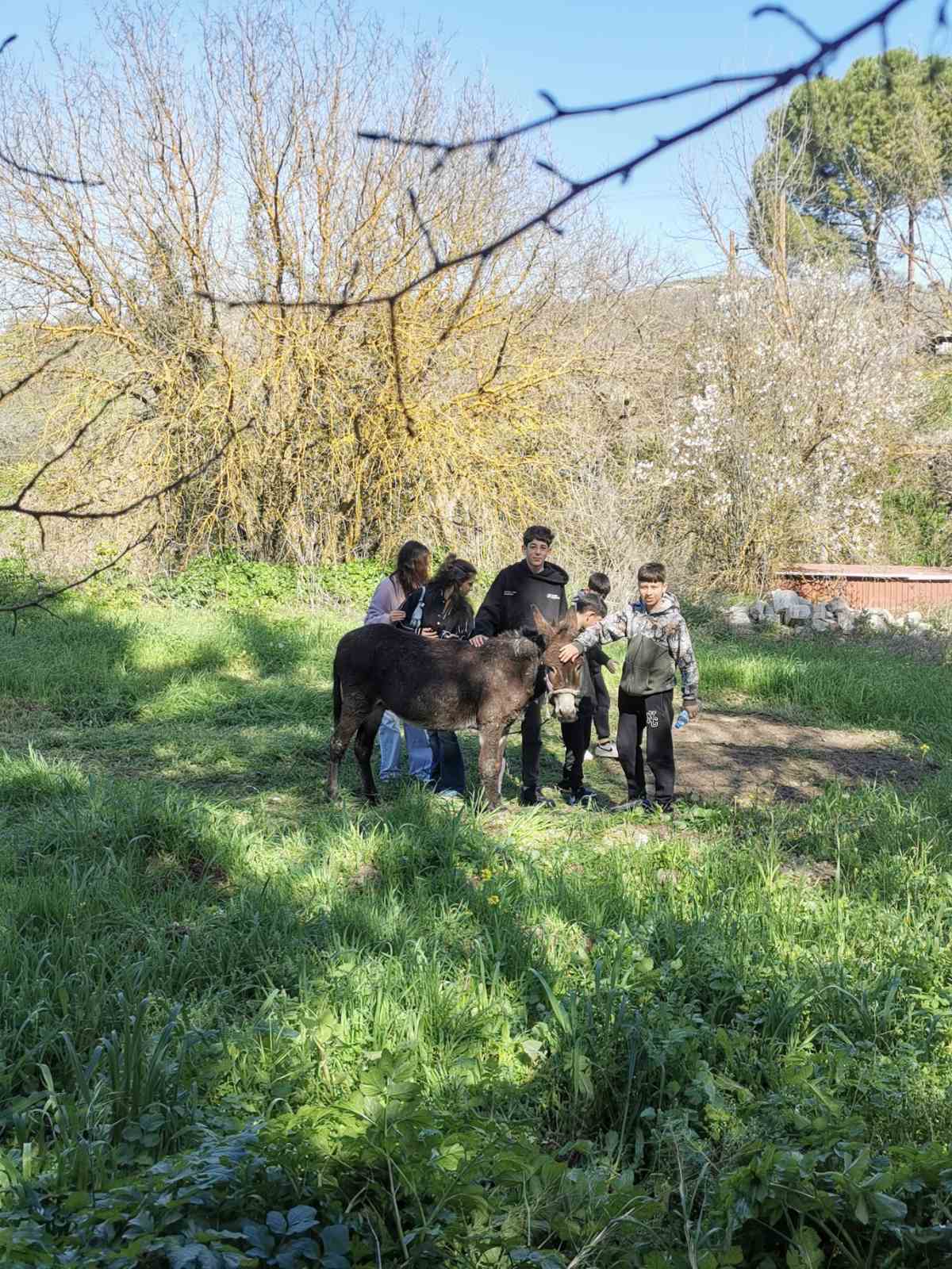 Viber Image 2026 03 06 08 05 20 946