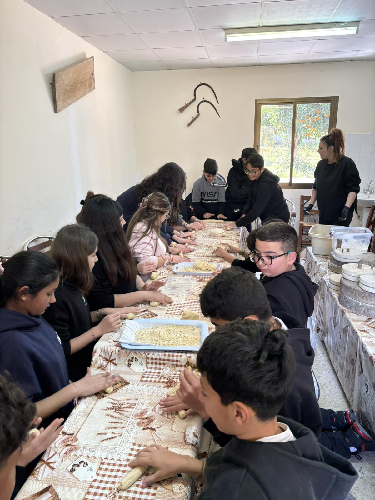 Viber Image 2026 03 07 11 08 08 619